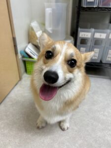 トリミング写真