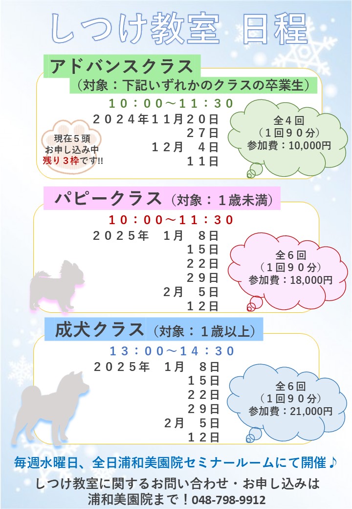 【しつけ教室】次回日程のご案内の画像