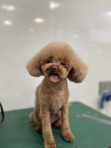 トリミング写真