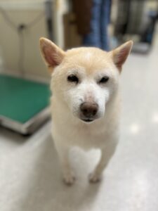 トリミング写真