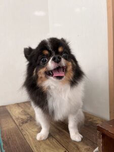 トリミング写真