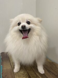 トリミング写真