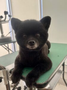 トリミング写真