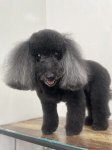 トリミング写真