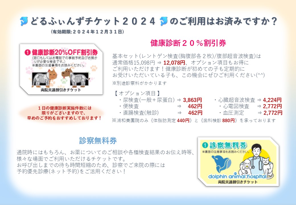 【どるふぃんず2024】にご加入のみなさまへの画像