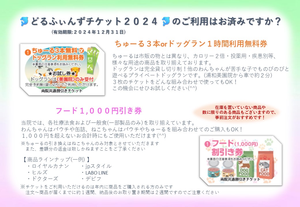 【どるふぃんず2024】にご加入のみなさまへの画像