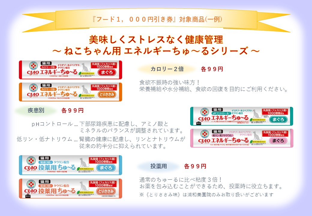 【どるふぃんず2024】にご加入のみなさまへの画像