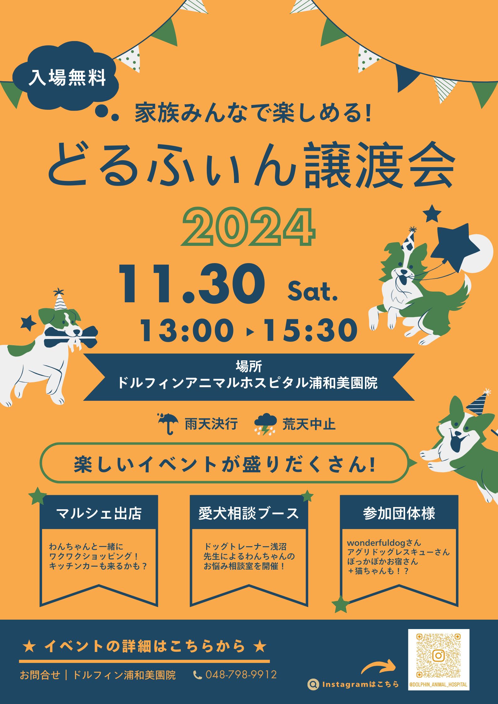 第３回 ドルフィン譲渡会のお知らせの画像
