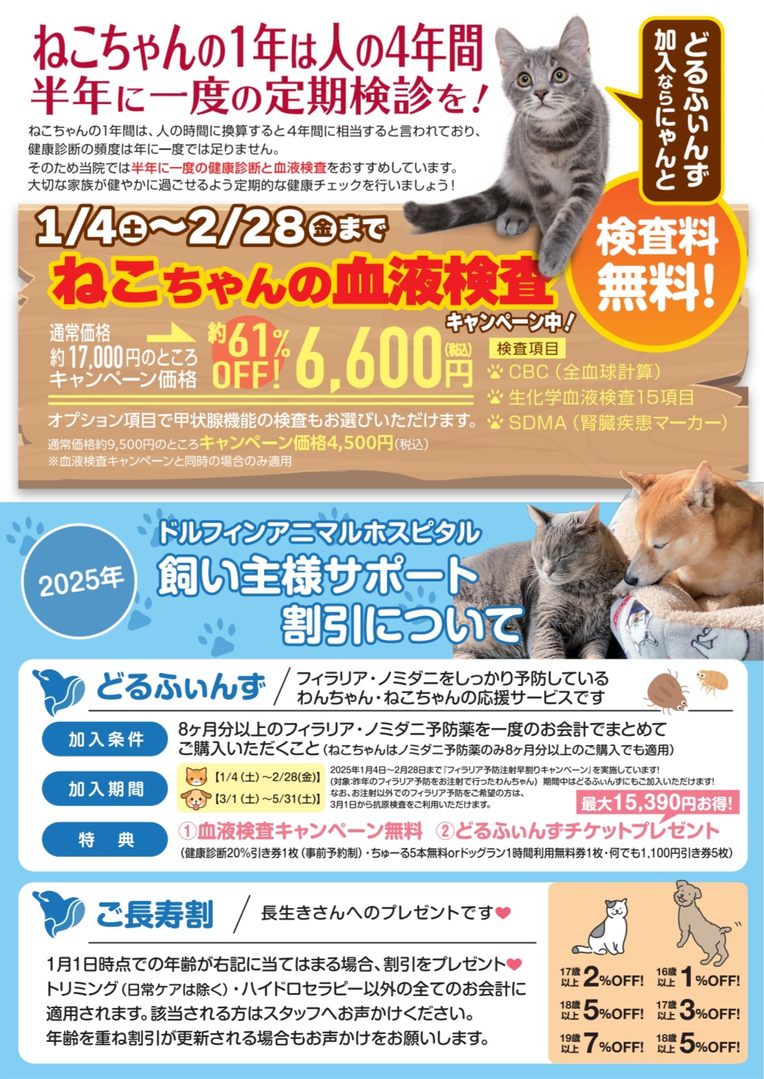 【ねこちゃん限定】血液検査キャンペーンのご案内の画像