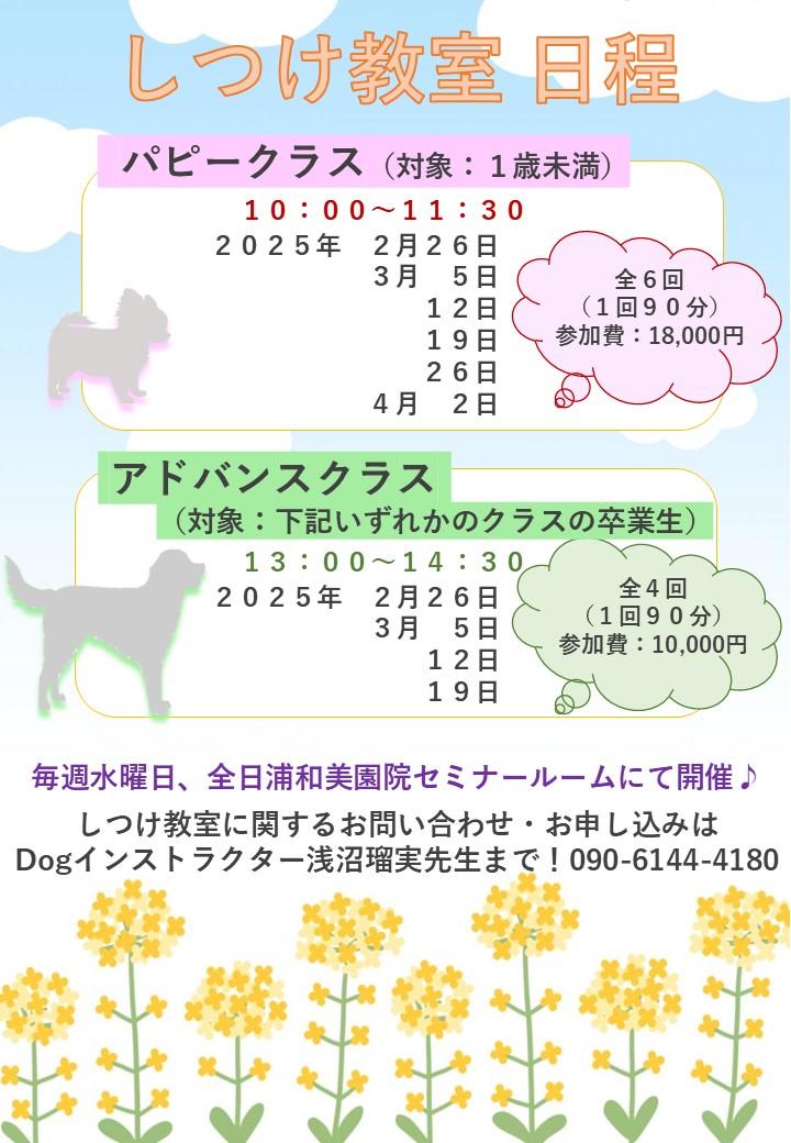 【しつけ教室】次回日程のご案内の画像