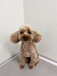 まるちゃんのトリミング写真