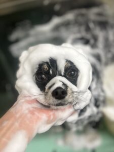 レナちゃんのトリミング写真
