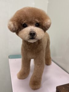 田んぼくんのトリミング写真