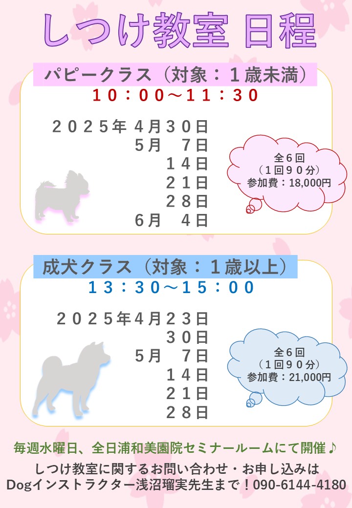 【しつけ教室】次回日程のご案内の画像