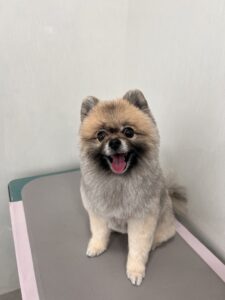 ほたるちゃんのトリミング写真