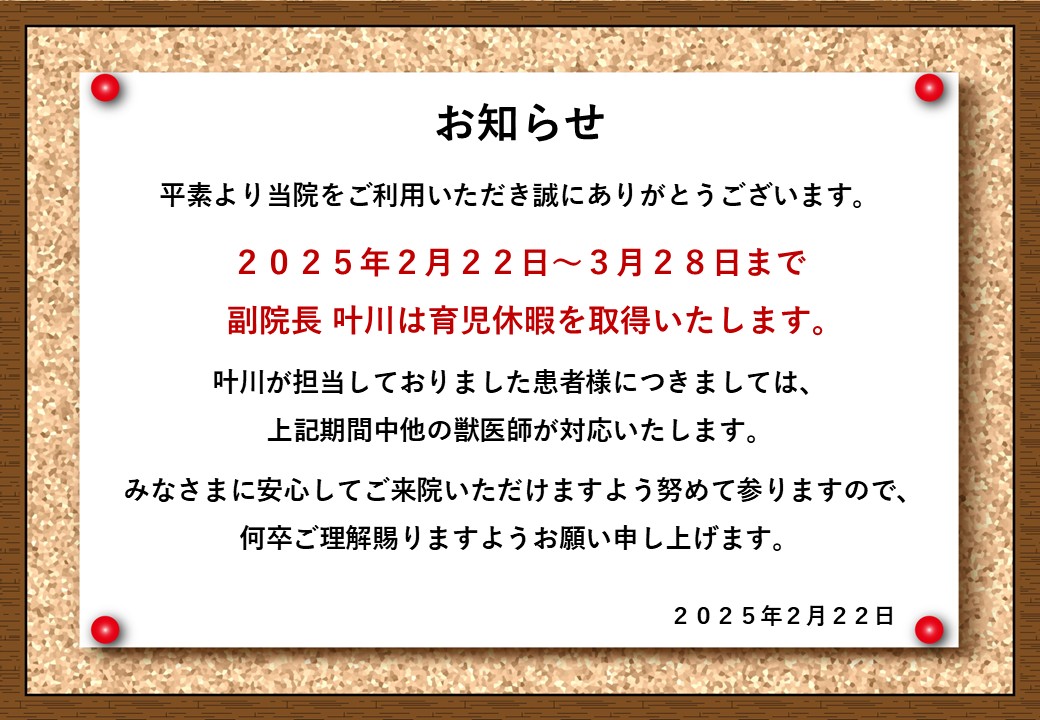 獣医師 診療に関するお知らせの画像