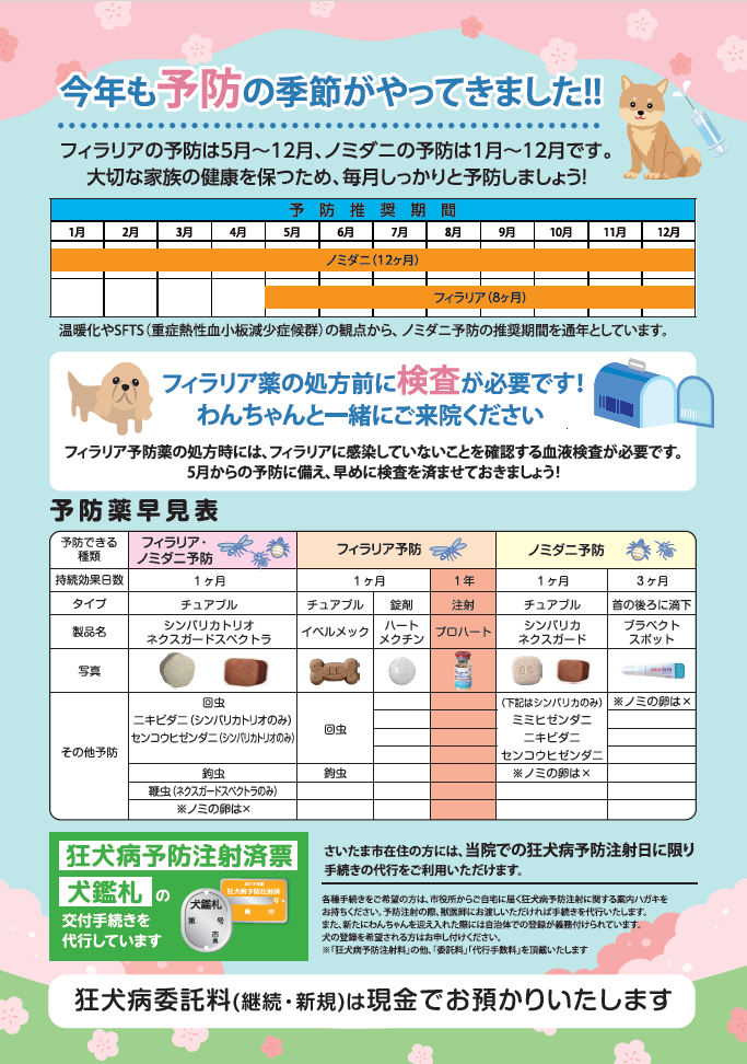 春の予防・血液検査キャンペーンのお知らせの画像