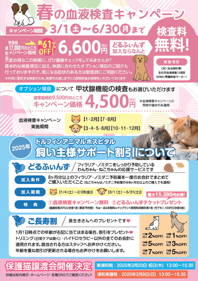 春の予防・血液検査キャンペーンのお知らせの画像