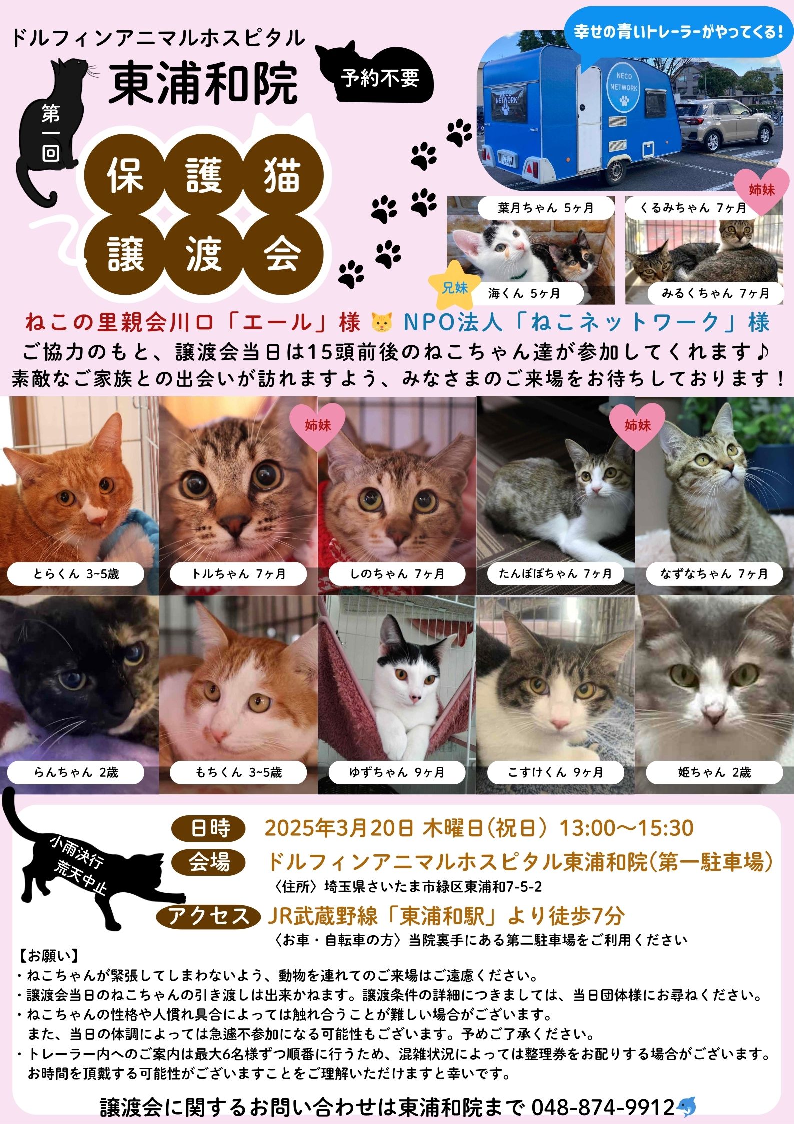 【東浦和院 初！】譲渡会のお知らせ（2025/3/19参加猫情報更新）の画像