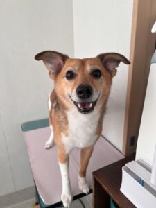 トリミング写真