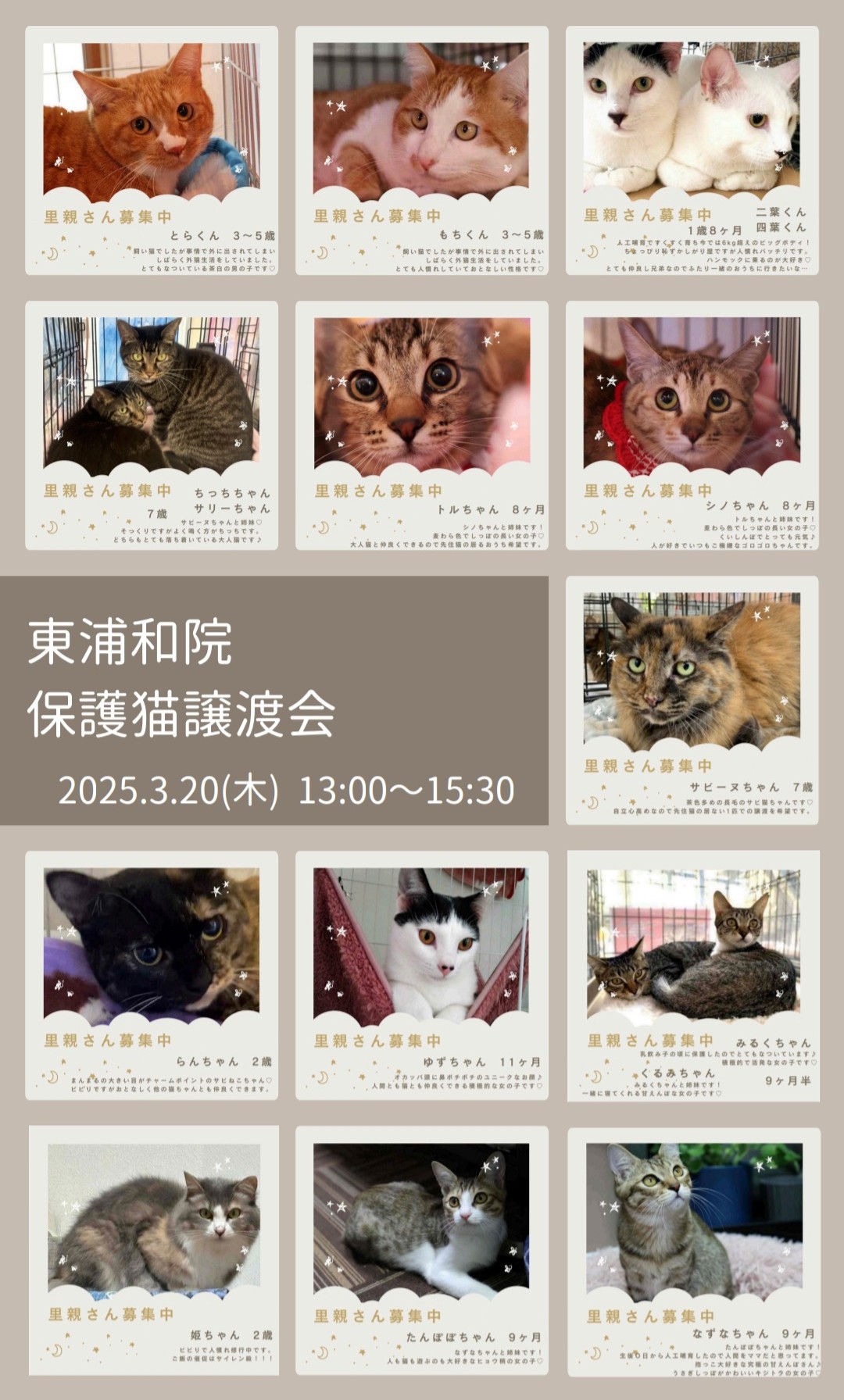 【東浦和院 初！】譲渡会のお知らせ（2025/3/19参加猫情報更新）の画像