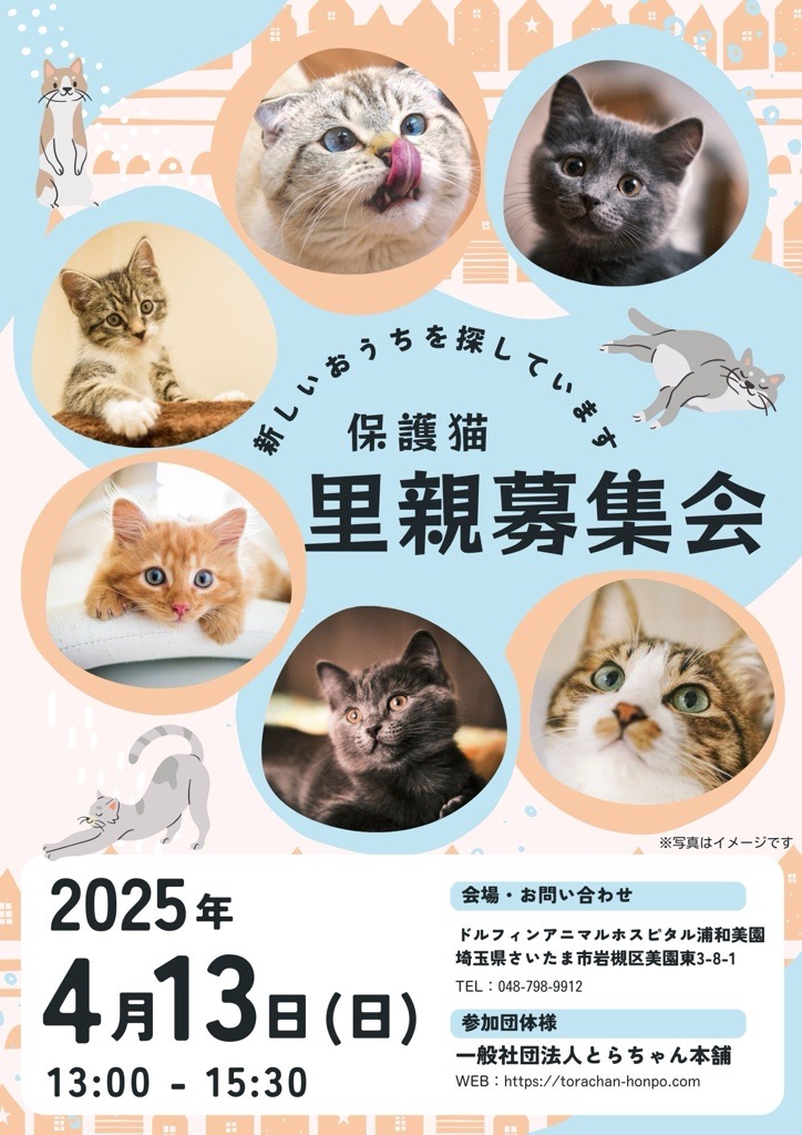 【浦和美園院】ドルフィン譲渡会のお知らせの画像