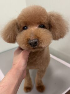 フランくんのトリミング写真