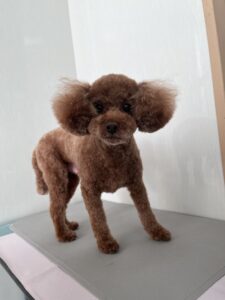 シフォンくんのトリミング写真