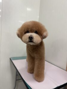 田んぼくんのトリミング写真