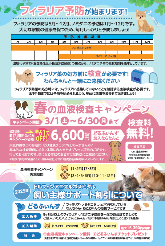 フィラリア・ノミダニ予防の準備はお済みですか？の画像