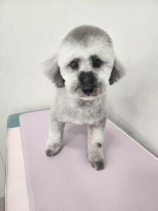 奏音(かのん)ちゃんのトリミング写真