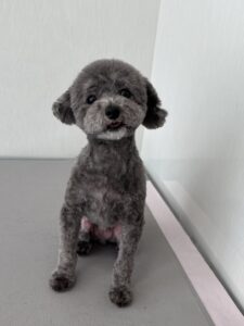 メイくんのトリミング写真