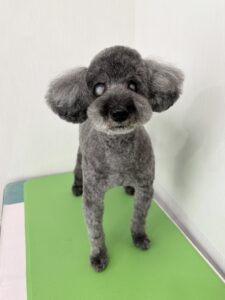 パルくんのトリミング写真