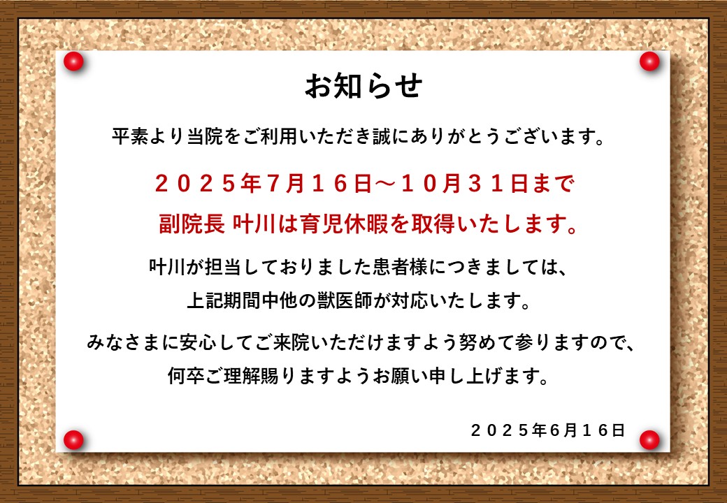 獣医師 診療に関するお知らせの画像