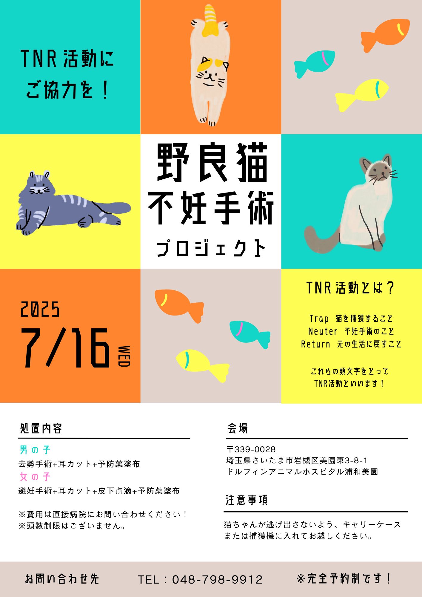 【浦和美園院】野良猫ちゃんの不妊手術にご協力をお願いします🐱の画像