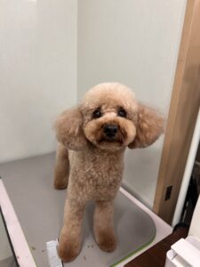 空太(くうた)くんのトリミング写真