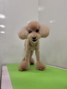 みるくちゃんのトリミング写真