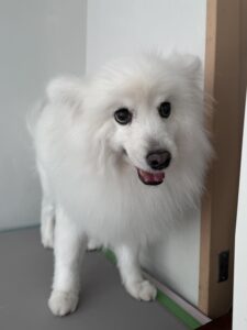 優(ゆう)ちゃんのトリミング写真