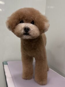 田んぼ(たんぼ)くんのトリミング写真