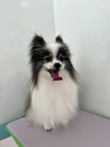 エルくんのトリミング写真