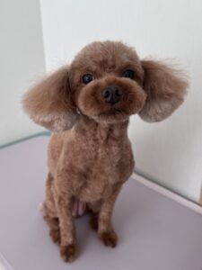 メイちゃんのトリミング写真