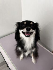 レナちゃんのトリミング写真