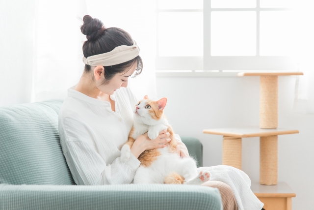 動物愛護週間に向けて ～動物福祉を考えよう～の画像