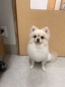 さだはるくんのトリミング写真