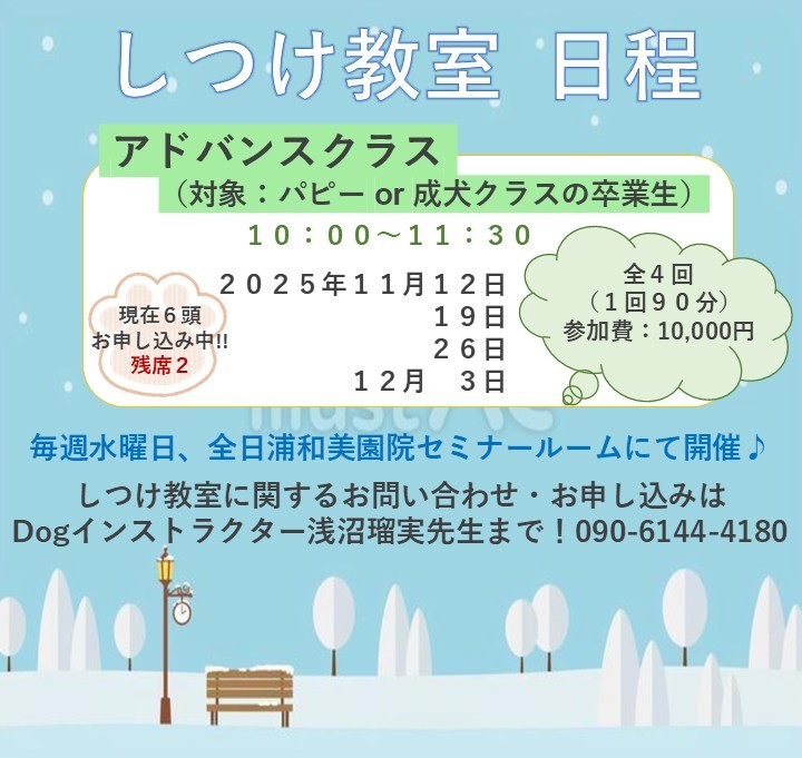 【しつけ教室】次回日程のご案内の画像