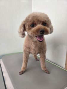 そらくんのトリミング写真