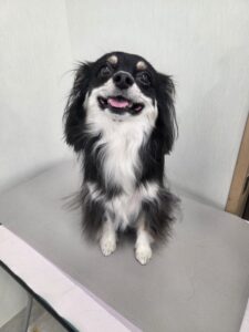レナちゃんのトリミング写真