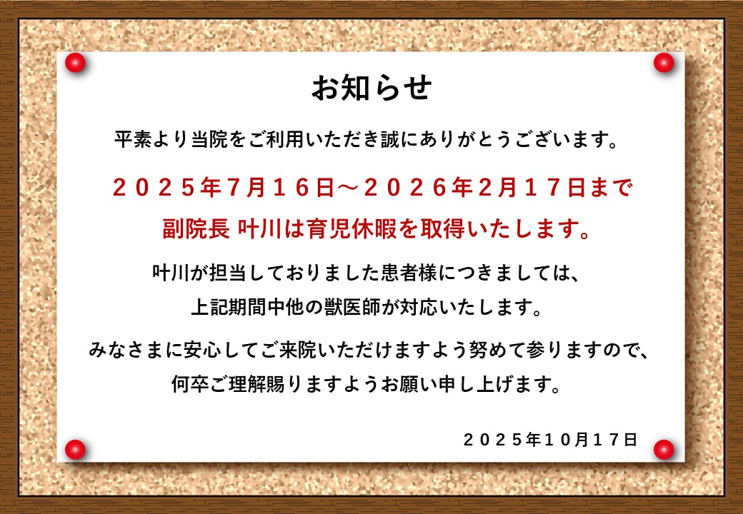 獣医師 診療に関するお知らせの画像