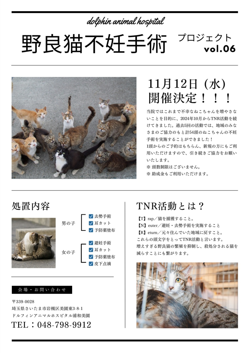 【浦和美園院】野良猫ちゃんの不妊手術にご協力をお願いします🐱の画像