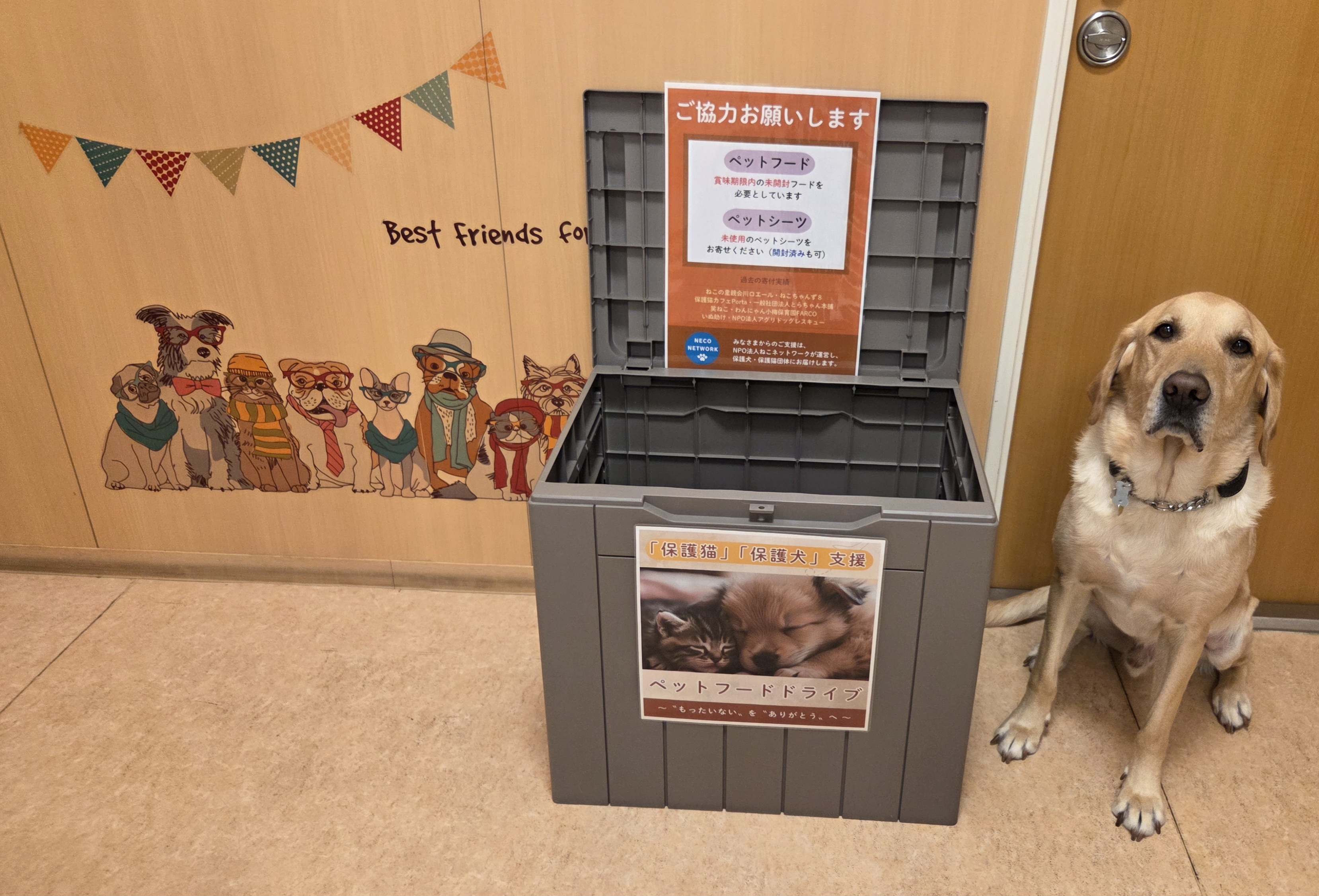 【浦和美園院】ペットフードドライブBOXを設置しました🐶🐱の画像